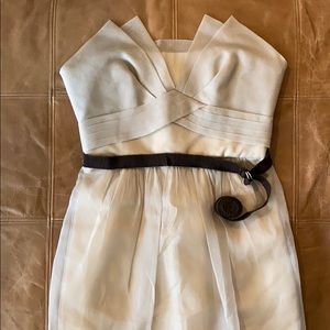 BCBG Max Azria Runway silk chiffon dress